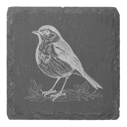 Robin red breast nesting - 'robin,