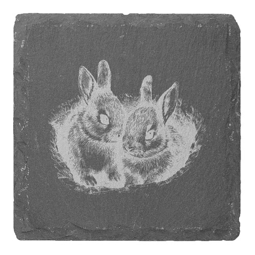 Baby bunnies in nest - bunnies, nest'